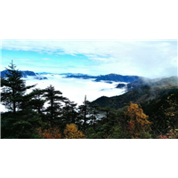 神龙架旅游包车 