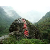 神龙架旅游包车 
