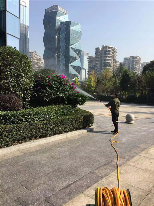 成都灭鼠公司灭老鼠