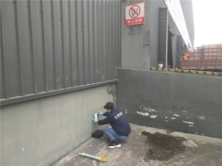 成都灭鼠公司大丰抓老鼠 