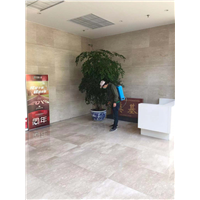 双流灭鼠公司坎精 