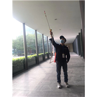 成华区灭鼠公司田鼠 