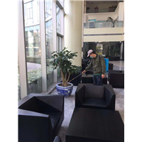 简州灭鼠公司 