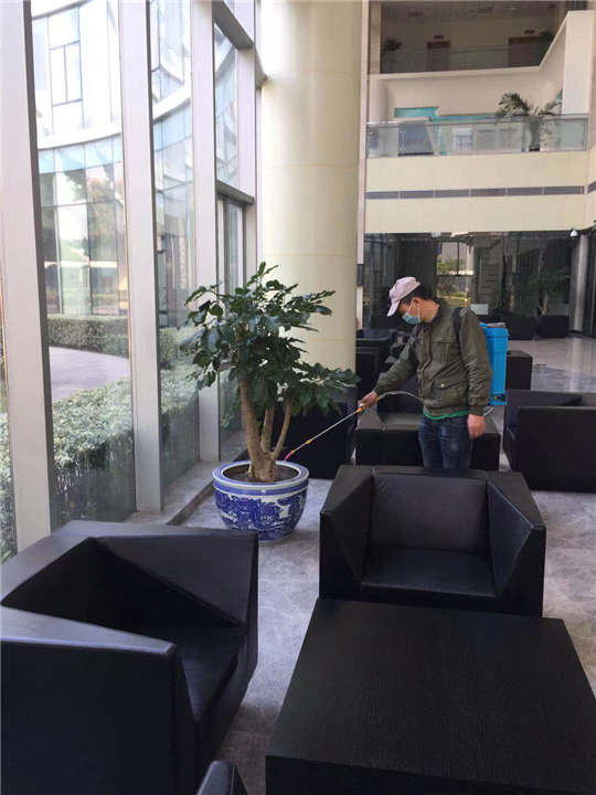 简州灭鼠公司 