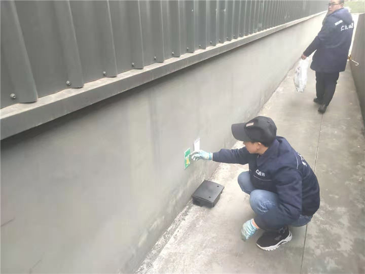 龙泉灭鼠公司巴适 
