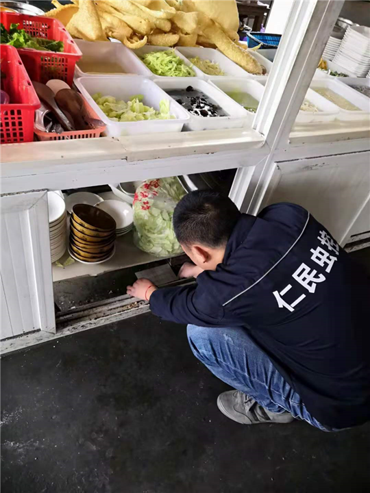 都江堰灭鼠公司老鼠 