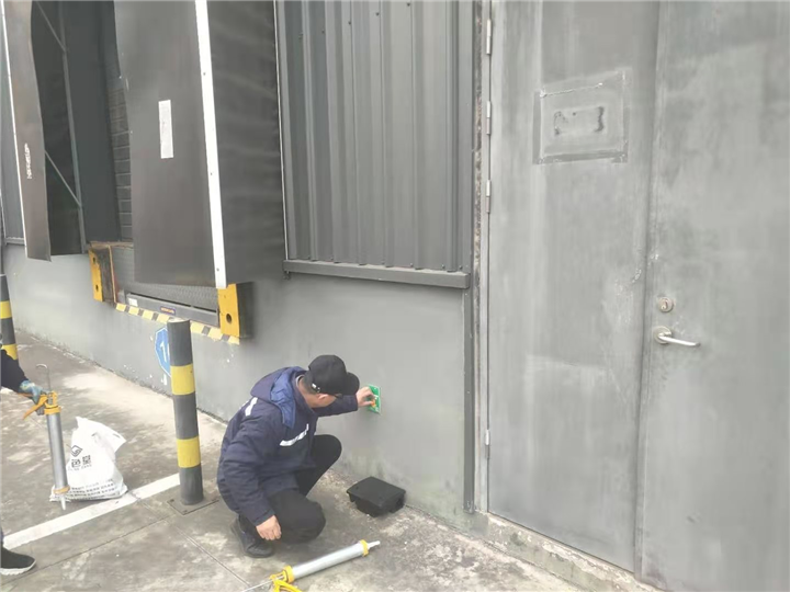成都灭鼠公司五块石杀老鼠