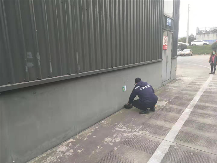 成都市灭鼠公司快捷 