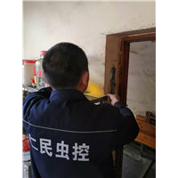 成都灭鼠公司耗子 