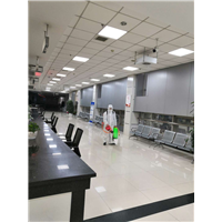 成都灭鼠公司-消杀公司 