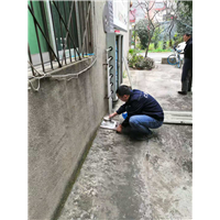 成都灭鼠公司保利公司逮老鼠