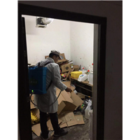 都江堰灭鼠公司坎精 