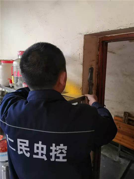成都灭鼠公司耗子 