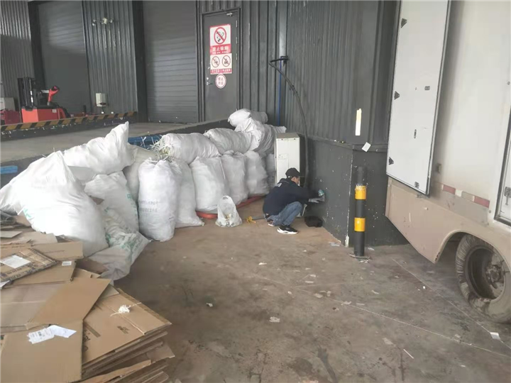 青羊区灭鼠公司巴适 