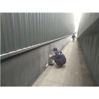 雅安灭鼠公司老虫 