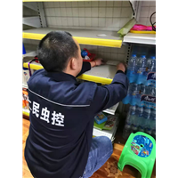 青羊区灭鼠公司鼠游泳高手 