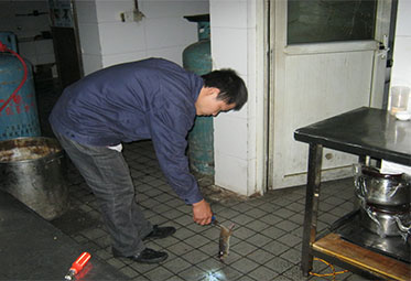 成都灭蟑螂公司@成都灭跳蚤公司 