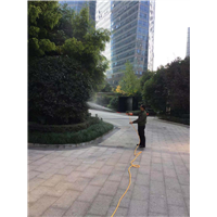 成都灭鼠公司抓耗子