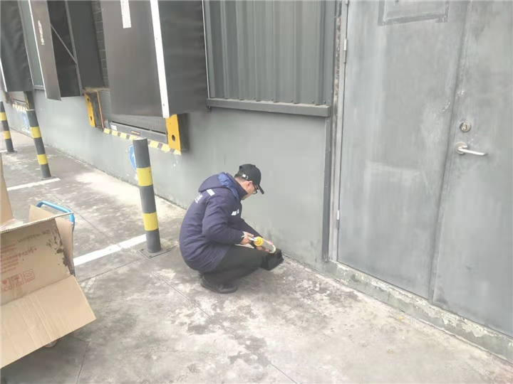 成都灭鼠公司中和杀鼠