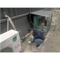 金牛区灭鼠公司坎精 