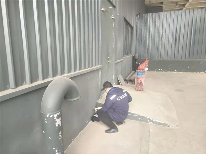 大邑灭鼠公司老鼠 