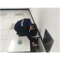 成都灭鼠公司杀老鼠