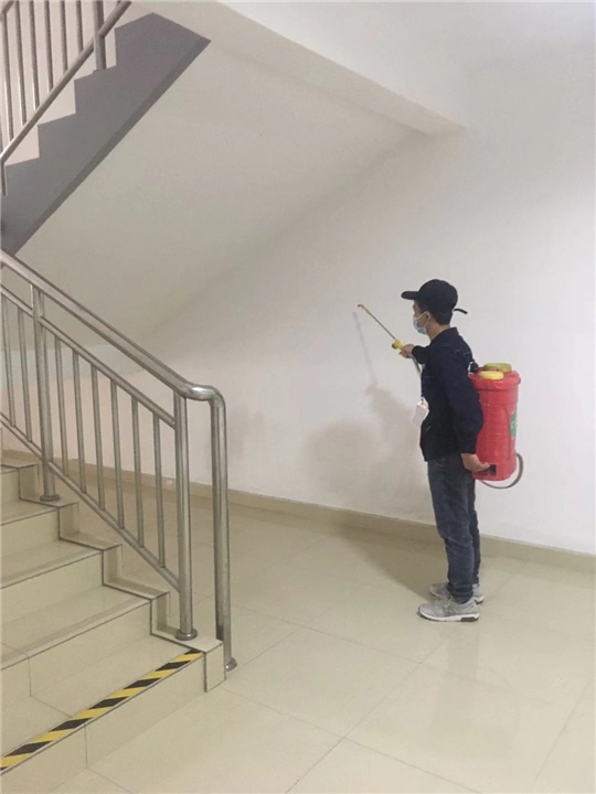 高新区灭鼠公司老鼠 