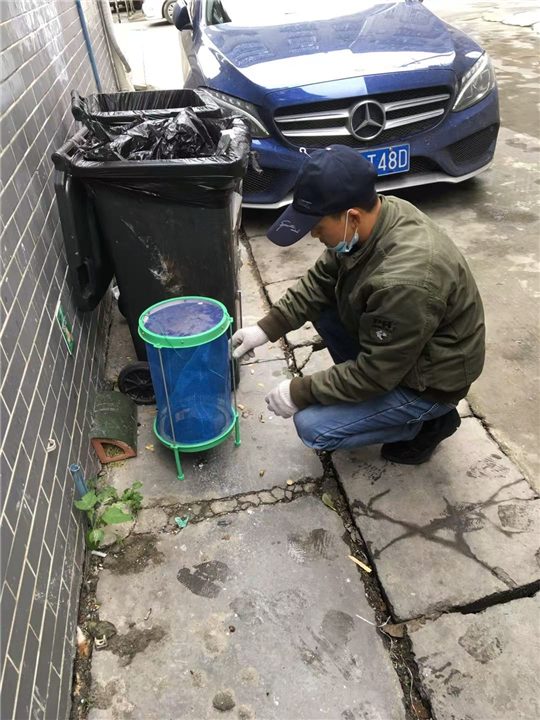 成都灭鼠公司家庭灭鼠