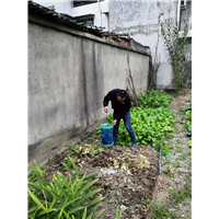 成都灭鼠公司东光小区灭鼠