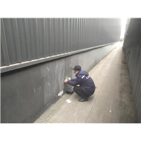 成都灭鼠公司国宾灭鼠公司