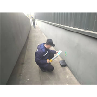 龙泉驿灭鼠公司家庭除鼠 