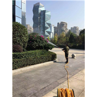 成都灭鼠公司灭老鼠