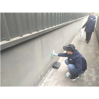 龙泉灭鼠公司巴适 
