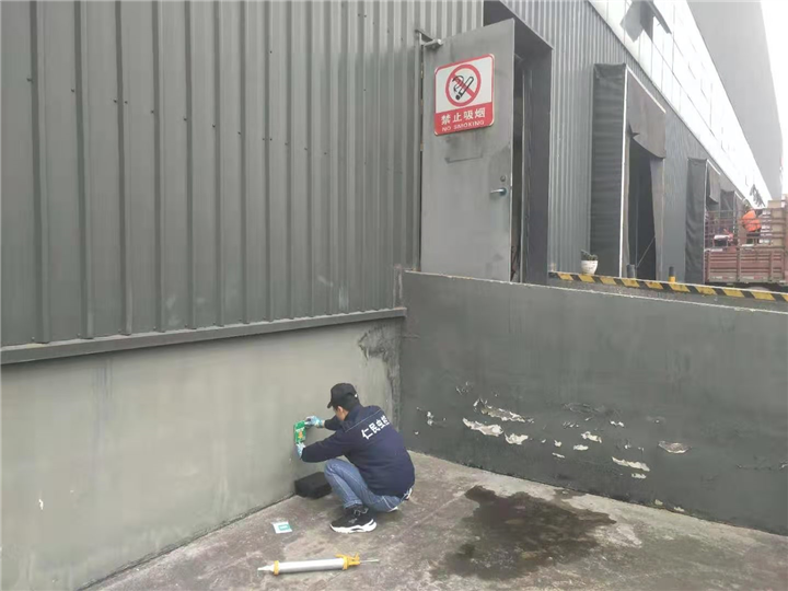 郫都灭鼠公司田鼠 