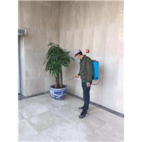 金牛区灭鼠公司田鼠 