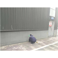 郫都灭鼠公司家庭除鼠 
