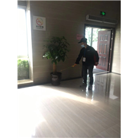 龙泉灭鼠公司耗子 