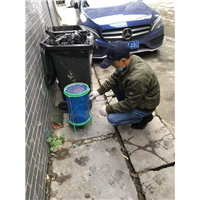成都灭鼠公司家庭灭鼠