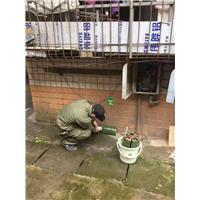 成都灭鼠公司
