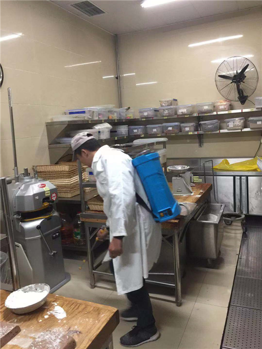 邛崃灭鼠公司 