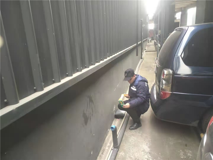 成都灭鼠公司老鼠 