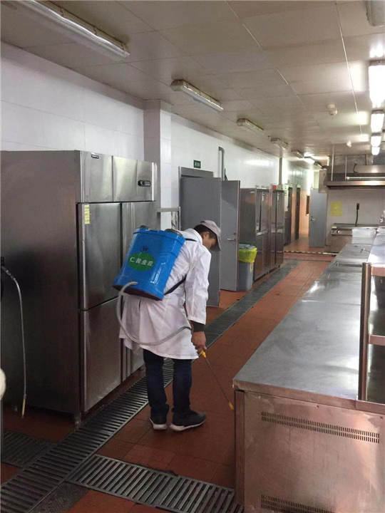 简阳灭鼠公司耗子 