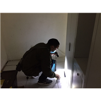 成都灭鼠公司别墅灭鼠