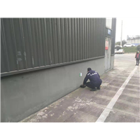 成都市灭鼠公司快捷 