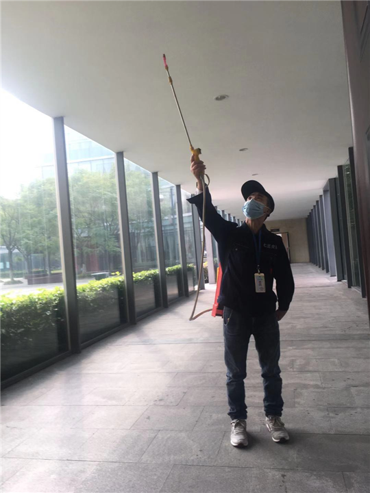 成华区灭鼠公司田鼠 