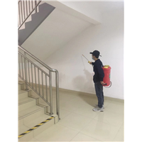 高新区灭鼠公司老鼠 