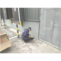 成都灭鼠公司中和杀鼠