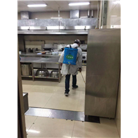 温江灭鼠公司水老鼠 