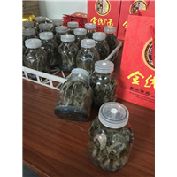 金线莲&金线莲种苗 