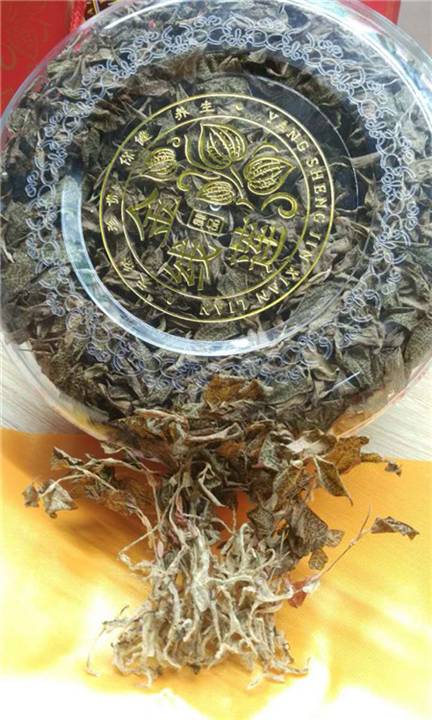 金线莲#金线莲种苗-大叶 